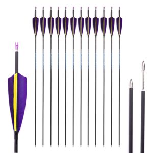 800 Spine Arrow 30 Inch Arrow Target Practice Arrow Hunting Arrow Carbon Arrows Compound Bow Recurve Bow Adult Youth Archery Indoor Outdoor Shooting Bullet Tip 12pc Purple