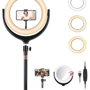 Auckoue 12'' Ring Light with Stand & Phone Holder, Dimmable Selfie Ring Light with Mirror, Desktop led Ring Light for Laptop Computer Video Conference, Live Streaming, YouTube, Vlogging, Makeup