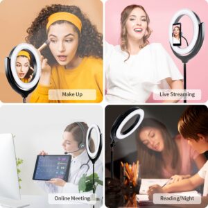 Auckoue 12'' Ring Light with Stand & Phone Holder, Dimmable Selfie Ring Light with Mirror, Desktop led Ring Light for Laptop Computer Video Conference, Live Streaming, YouTube, Vlogging, Makeup