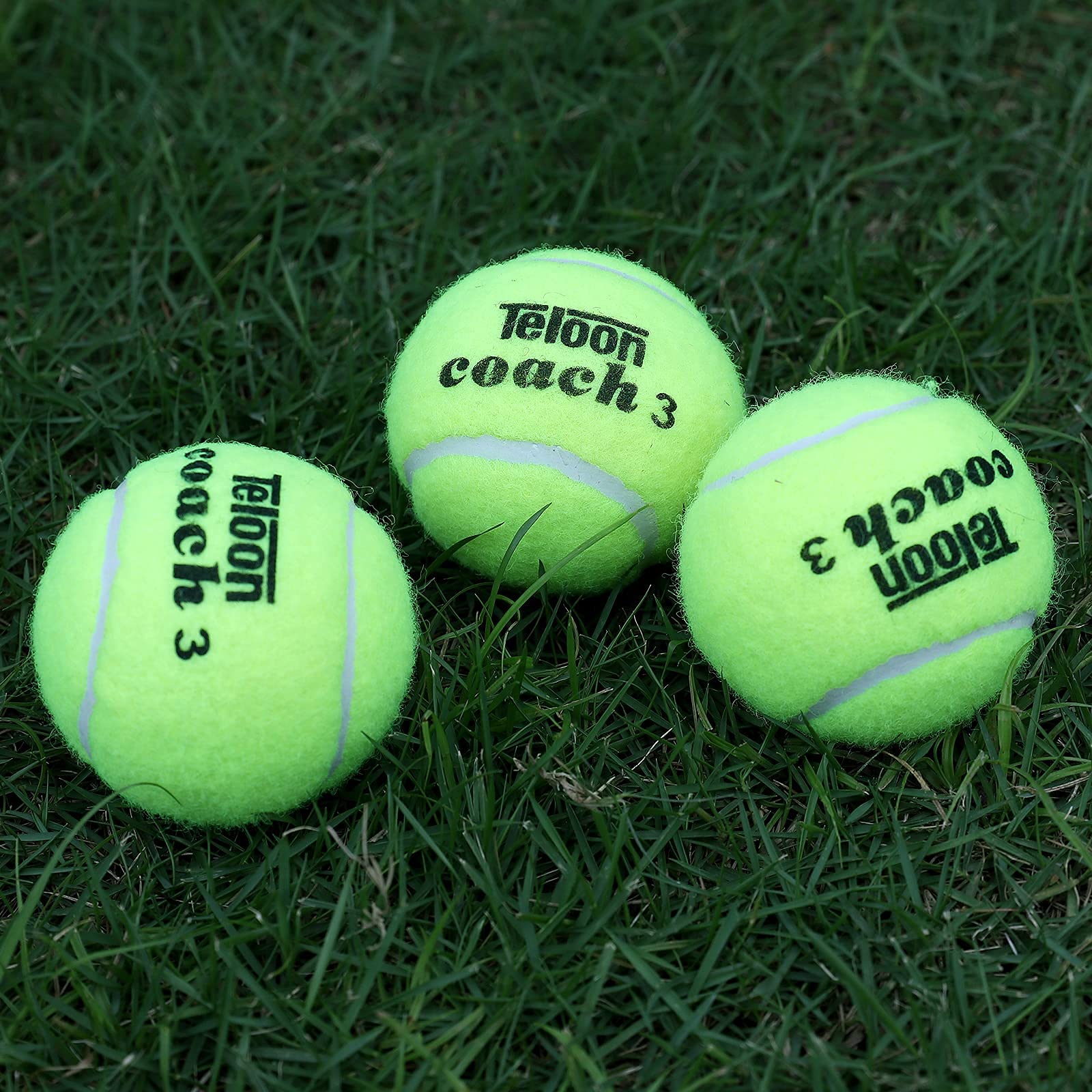 Teloon Tennis Balls (Regular color-12pcs)