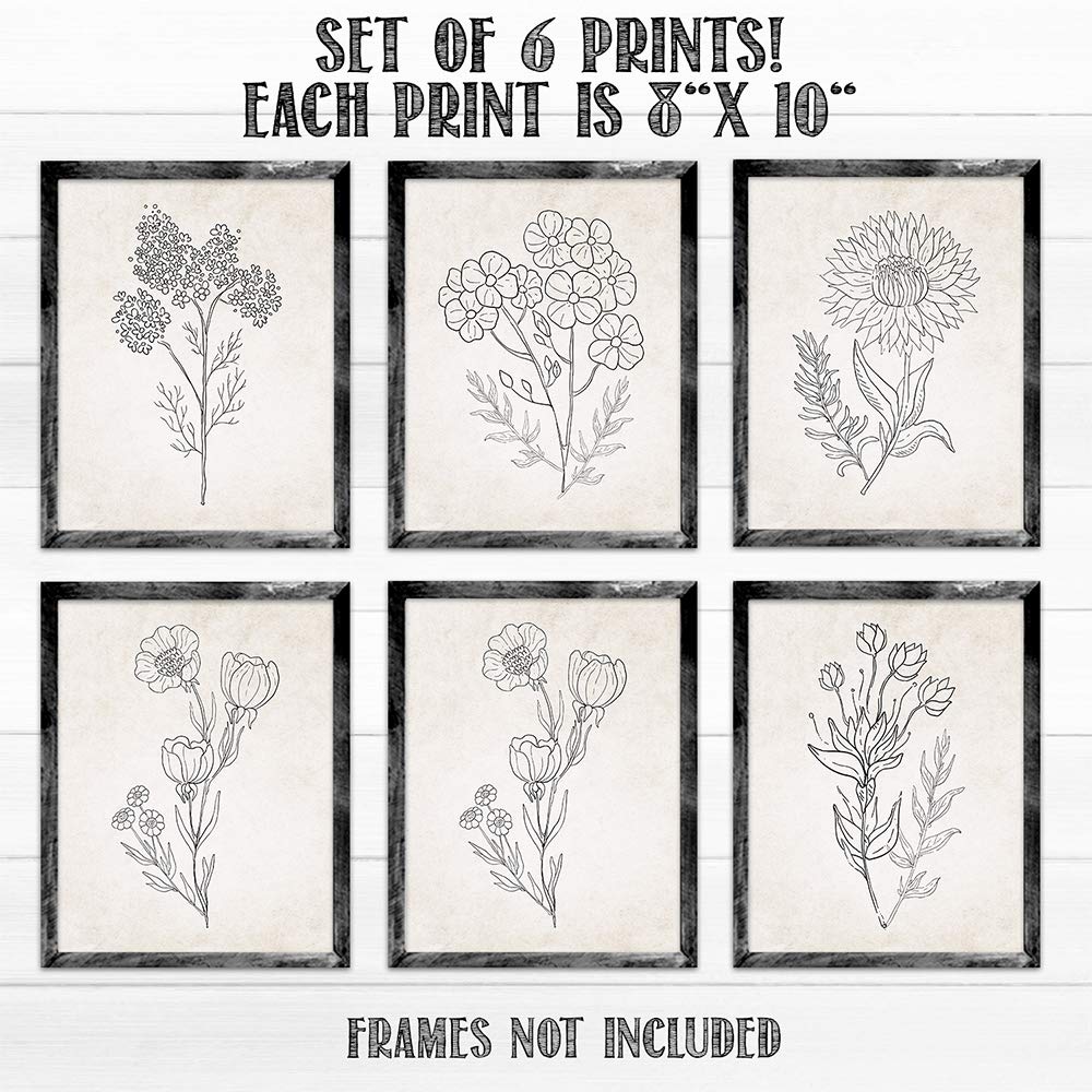 Beige Florals in Black and White Set of 6-8x10 Unframed Art Prints - Makes a Great Gift to Gardening Enthusiasts and Lovely Living Room Decor Under $20