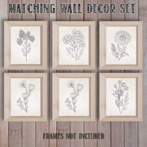 Beige Florals in Black and White Set of 6-8x10 Unframed Art Prints - Makes a Great Gift to Gardening Enthusiasts and Lovely Living Room Decor Under $20