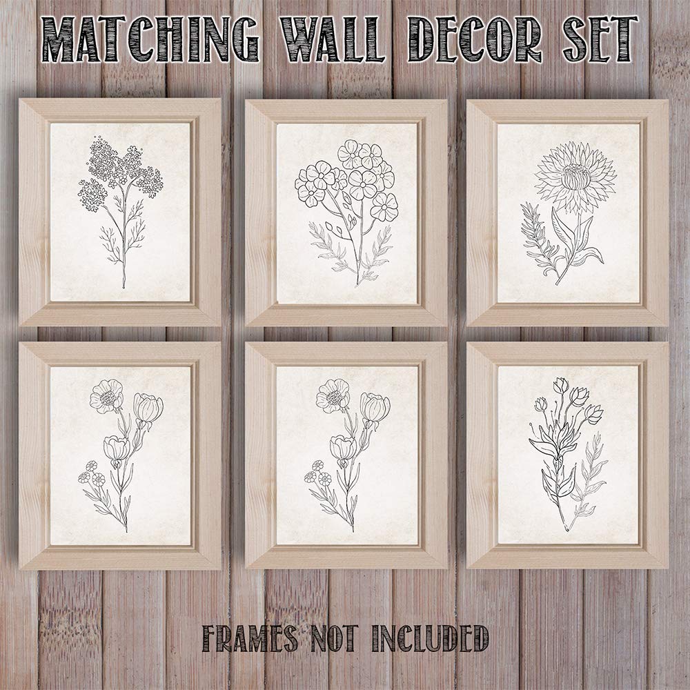 Beige Florals in Black and White Set of 6-8x10 Unframed Art Prints - Makes a Great Gift to Gardening Enthusiasts and Lovely Living Room Decor Under $20