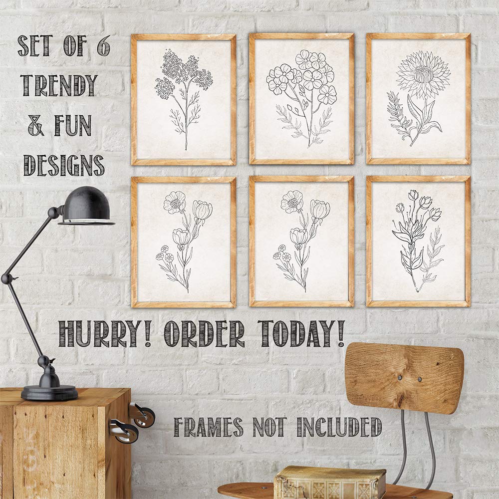 Beige Florals in Black and White Set of 6-8x10 Unframed Art Prints - Makes a Great Gift to Gardening Enthusiasts and Lovely Living Room Decor Under $20