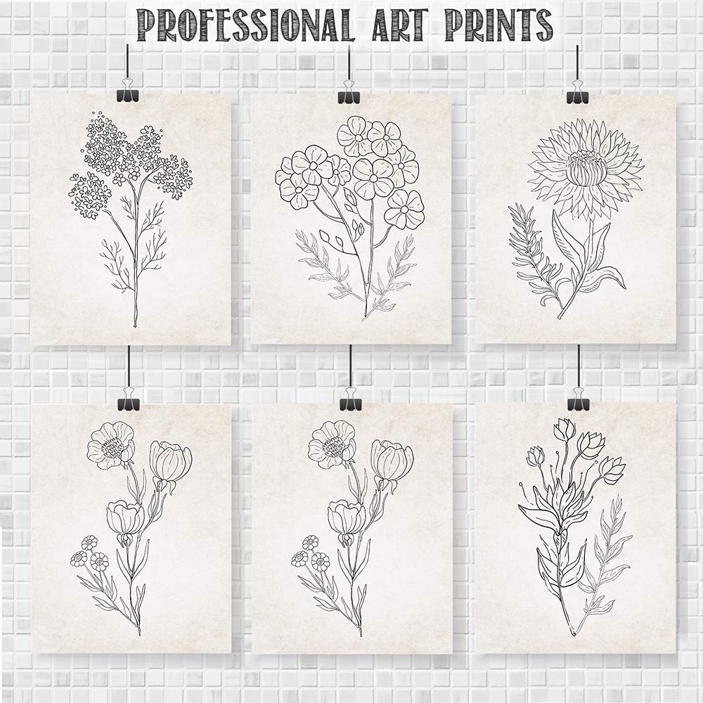 Beige Florals in Black and White Set of 6-8x10 Unframed Art Prints - Makes a Great Gift to Gardening Enthusiasts and Lovely Living Room Decor Under $20