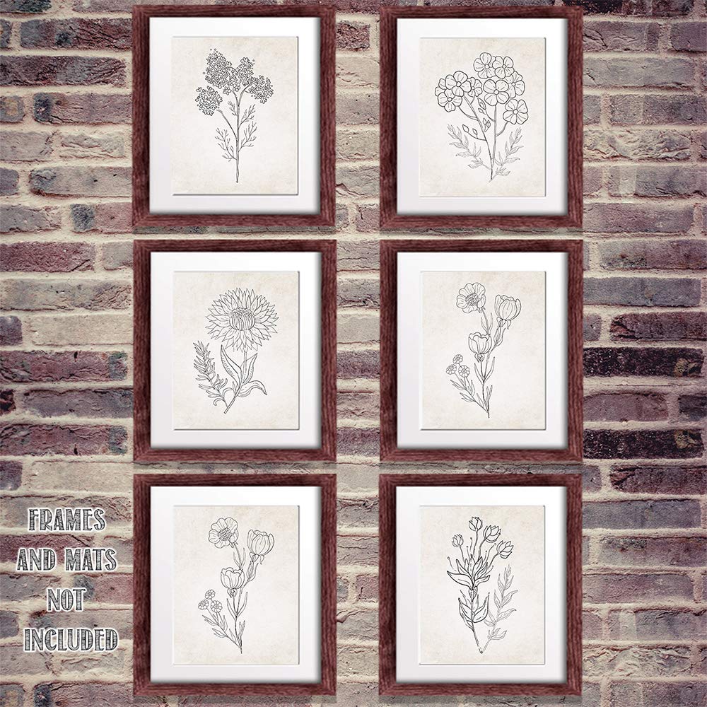 Beige Florals in Black and White Set of 6-8x10 Unframed Art Prints - Makes a Great Gift to Gardening Enthusiasts and Lovely Living Room Decor Under $20