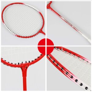 gzqirun Badminton Rackets Set of 2 with Shuttlecocks for Adults Backyard Gym 1 Carrying Bag Included