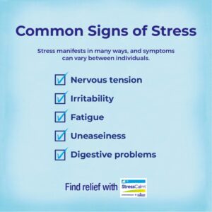 Boiron StressCalm Tablets for Relief of Stress, Anxiousness, Nervousness, Irritability, and Fatigue - 120 Count (2 Pack of 60)