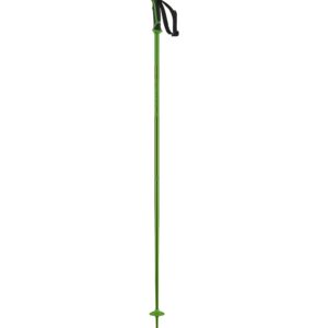 Salomon Arctic Ski Poles Green 125cm (50in)