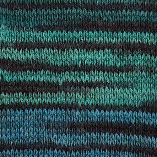 Zymise Patons Kroy Socks Yarn, 2-Pack, Turquoise Stripes Plus Pattern