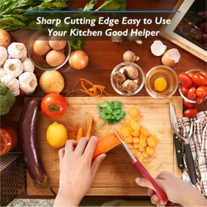 Kitchen Shears, Rkqoa Kitchen Scissors Heavy Duty Cooking Scissors, Dishwasher Safe Scissors Kitchen House Essentials Supplies, Stainless Steel Sharp Utility Shears for Turkey, Poultry, Chicken, Meat