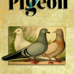 The Pigeon Pet Journal: Daily Pet Health Care Record Book For Doves & Pigeons, Track Vet Visits & Vaccination Journal, Medical & Important Information, Pets Records, Gift (Golden Pigeon)