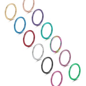 Drperfect 12 Pcs Septum Rings 316L Stainless Steel Cartilage Hoop Earrings Hinged Segment Clicker Septum Nose Rings Hoop Helix Daith Tragus Earrings Body Piercing for Women Men 16G 18G