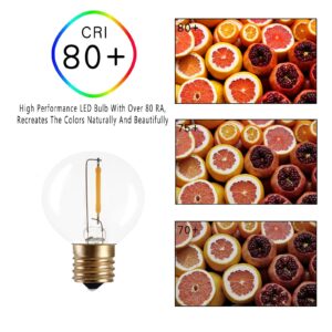 Lxcom Lighting 12 Pack 0.5W G14/G40 LED String Light Bulbs,E17 Screw Base G40 LED Edison Replacement Clear Glass Warm White 2700K Vintage LED Filament Bulb for Decorative String Light, AC120V