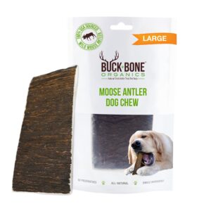 Buck Bone Organics Dog Chews, Moose Antlers for Dogs, Long Lasting Dog Bones for Aggressive Chewers, All Natural, No Preservatives, Wild Shed in The USA (Large)