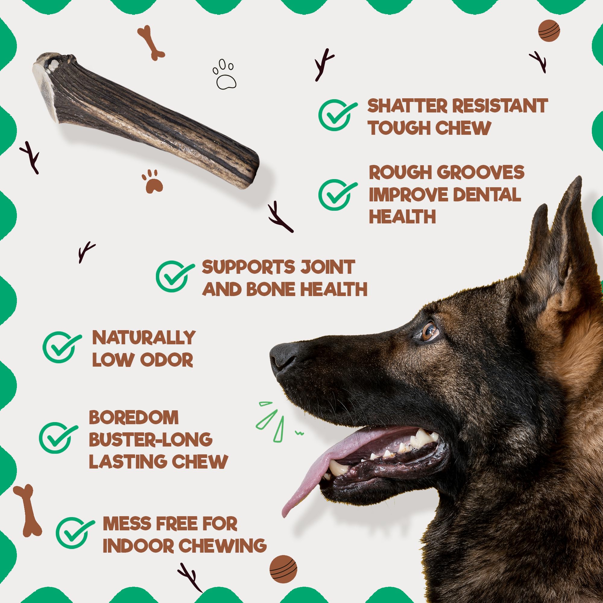 Jack & Pup Elk Antler Chew for Large Dogs | Long Lasting, Rawhide-Free Dog Chews | Single Ingredient, Nutrient-Rich Dog Toy