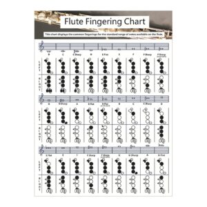 sycooven flute chord chart, portable durable flute fingering chart, white chord chart for flute fingering practice, chord chart beginner student for teaching or group study, flute accessories