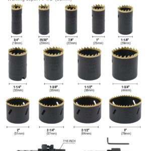 BINOTA M42 Bi-Metal Hole Saw, Set 17PC for Metal, Wood, Plywood, PVC, Gypsum, Composite, Stainless Steel Plate, Kit 19-76mm