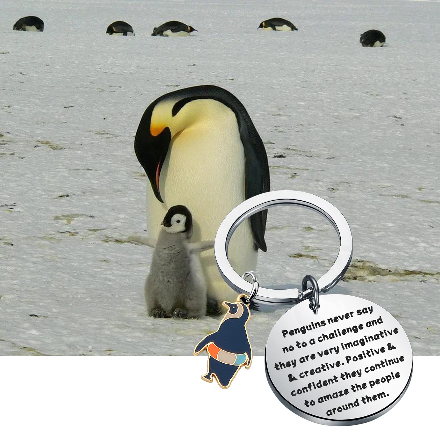 bobauna Penguin Keychain Gift Penguins Never Say No To A Challenge Inspirational Penguin Gift For Penguin Lover (penguins amaze people keychain)