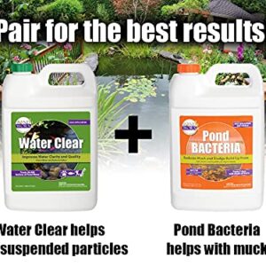 Pondworx Water Clear - Concentrated Formulation Improves Water Clarity and Quality, Helps Clear Cloudy Water, Safe for Fish, Pets, and Plant - 1 Gallon