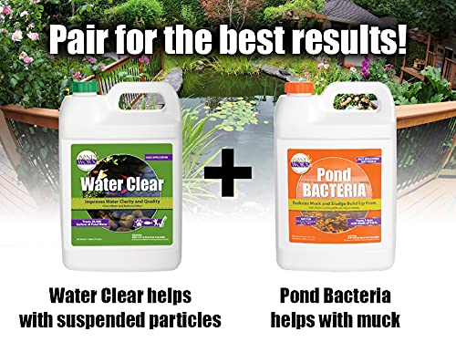 Pondworx Water Clear - Concentrated Formulation Improves Water Clarity and Quality, Helps Clear Cloudy Water, Safe for Fish, Pets, and Plant - 1 Gallon