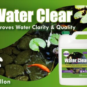 Pondworx Water Clear - Concentrated Formulation Improves Water Clarity and Quality, Helps Clear Cloudy Water, Safe for Fish, Pets, and Plant - 1 Gallon