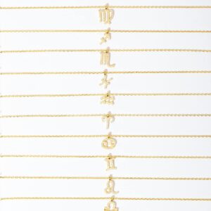 PAVOI 14K Yellow Gold Plated CZ Astrology Necklace Astrology Necklace | Astrology Gifts For Women | Zodiac Necklaces | Pisces Necklace