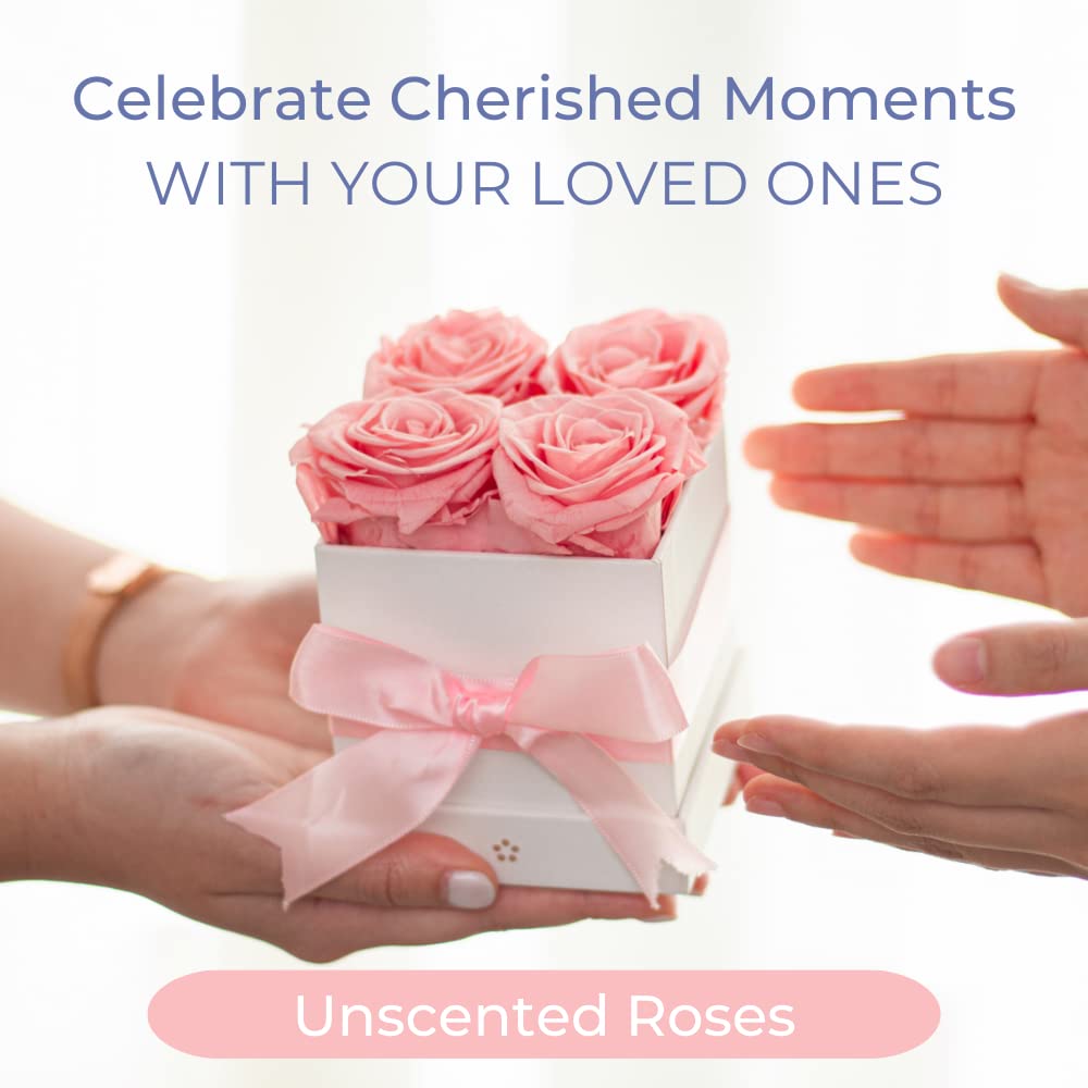 AROMEO Pink Roses, A Gift That Lasts | Fresh Flowers for Delivery, Mothers Day Gifts, Mom, Girlfriend, Wife, Mother, Birthday, Women Gift. Preserved Fresh Cut Zero Maintenance Roses with Box