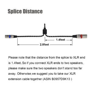 Mugteeve 3.5 mm to Dual XLR Male Y Splitter Cable, 6.6 Feet Stereo 1/8 Mini TRS Headphone Jack to L/R Double XLR Male Aux Cord, Noise Free, Nylon Braided, for Studio Monitor Speaker and Phones