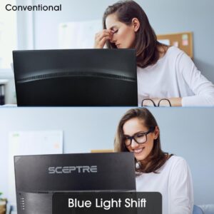 Sceptre 24" IPS Monitor 1920 x 1080p Ultra Slim 75Hz HDMI VGA 99% sRGB Metal Black 2021 (E248W-FPRK)