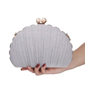 Felice Ann Women Mini Seashell Evening Bag Clutch Handbag Chain Strap Cross-body Shoulder Bag, Pleated Silver