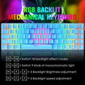 60% Mechanical Gaming Keyboard Mini 68 Keys Wired Type C 18 RGB Backlight Effects,Lightweight RGB 6400DPI Honeycomb Mouse,Large Mouse Pad Compatible With PS4,Xbox,PC,Laptop,MAC (blue/blue switch)