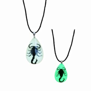 PTGMH Glow in the Dark Necklace Black Scorpion Amber Resin Adjustable Necklace Pendent with Insect Sample Inside Birthday Gift for Lover Friends (Black（black Scorpion）)