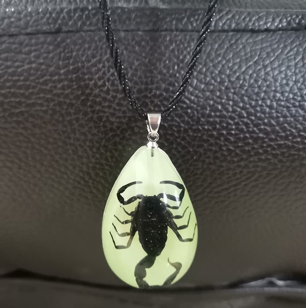 PTGMH Glow in the Dark Necklace Black Scorpion Amber Resin Adjustable Necklace Pendent with Insect Sample Inside Birthday Gift for Lover Friends (Black（black Scorpion）)