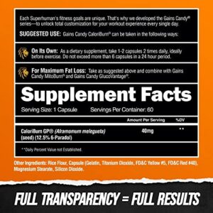 ALPHA LION Gains Candy, Pills That Support Weight Loss, Energy Supplements, 100% Natural Extract, Calorie Burning, Regulates Healthy Metabolism, 60 Capsules (Fat Loss - CaloriBurn®)