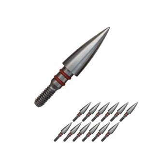 Aklisdlha Field Points arrowheads 100/125/150/200/300 Grains Archery Field Points,Stainless Steel Screw in Archery Field Tips and Broadheads (1 Dozen 12 PCS) (5/16″-100 Grains)