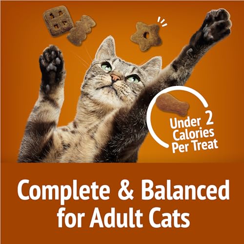 Purina Friskies Cat Treats, Party Mix Chicken Lovers Crunch - 20 Ounce (Pack of 1)