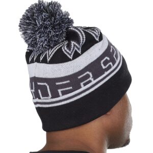 Spyder Men's Icebox Hat, Black, One Size