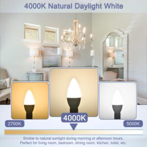 Sailstar Candelabra Light Bulbs 60 Watt Equivalent, 4000K Natural Daylight, 5W E12 Small Base Type B LED Bulbs, 500 Lumens, Chandelier Ceiling Fan Light Bulbs, CRI 85, Non-dimmable, Pack of 3