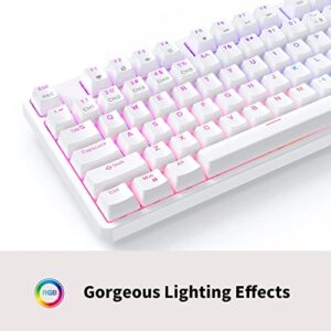 CIY X77 Hot-Swappable Mechanical Keyboard/RGB Gaming Keyboard/USB C/Anti Ghosting/N-Key Rollover/Compact Layout 87 Key/Magnetic Upper Cover/for Mac Windows (White and Red switch)