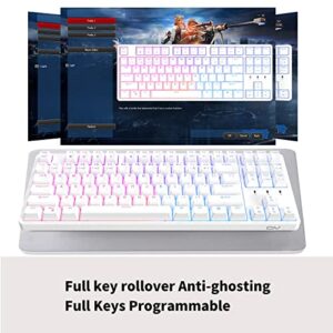 CIY X77 Hot-Swappable Mechanical Keyboard/RGB Gaming Keyboard/USB C/Anti Ghosting/N-Key Rollover/Compact Layout 87 Key/Magnetic Upper Cover/for Mac Windows (White and Red switch)