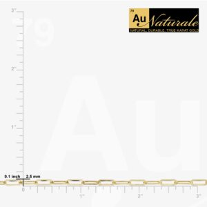 Au Naturale 10k Yellow Gold Paperclip Link Chain Bracelet (2.5 mm, 7 inch) | Minimalist Jewelry for Women