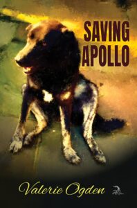 saving apollo