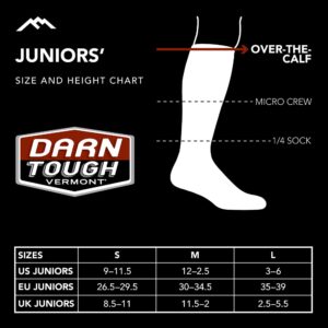 Darn Tough Juniors RFL Jr. OTC Ultra-Lightweight Sock (Style 3034) - Black, Large