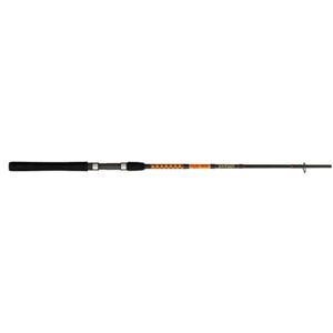 Ugly Stik Bigwater Spinning Fishing Rod