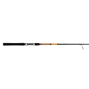 Ugly Stik Bigwater Spinning Fishing Rod