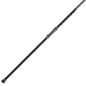 penn carnage iii surf conventional fishing rod, silver/black/gold, 10' - medium - 2pc