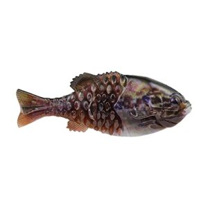 Berkley Powerbait Gilly Fishing Soft Bait, HD Warmouth, 90mm