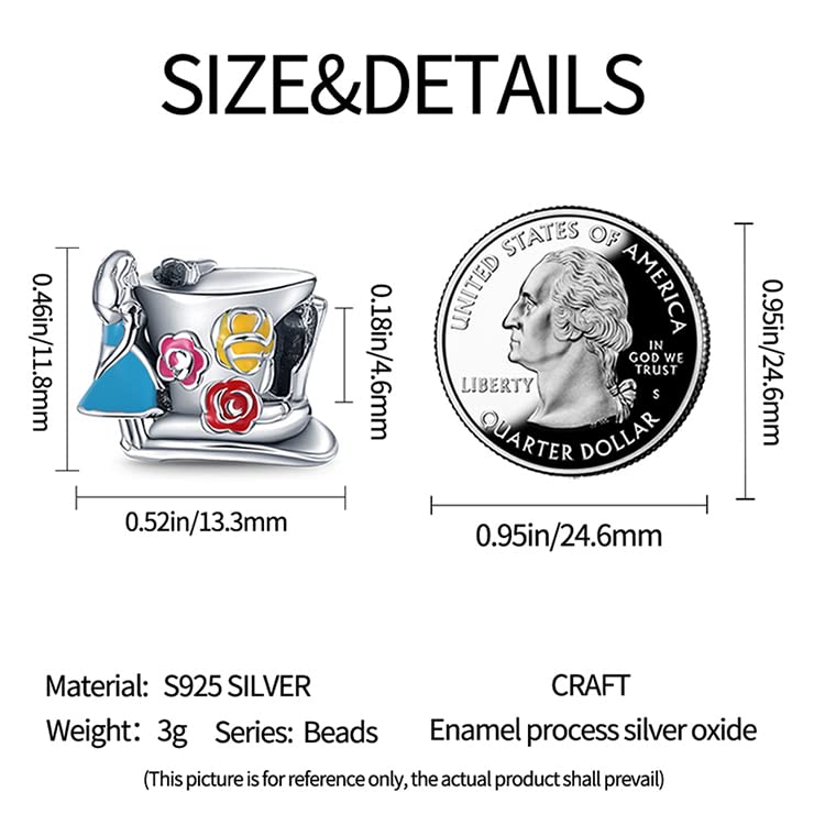 LIGHTDOG 925 Sterling Silve Charms fits Pandora Bracelets Necklace,5A Zircon Dangle Pendant Bead,Mother's Day Gift Jewelry Beads for Women