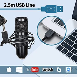 Podcast Microphone Professional 192KHz/24BIT USB Condenser Cardioid PC Mic, Recordings for YouTube, Streaming, Gaming, Recording Music, Voice Over, Studio/Home Recording